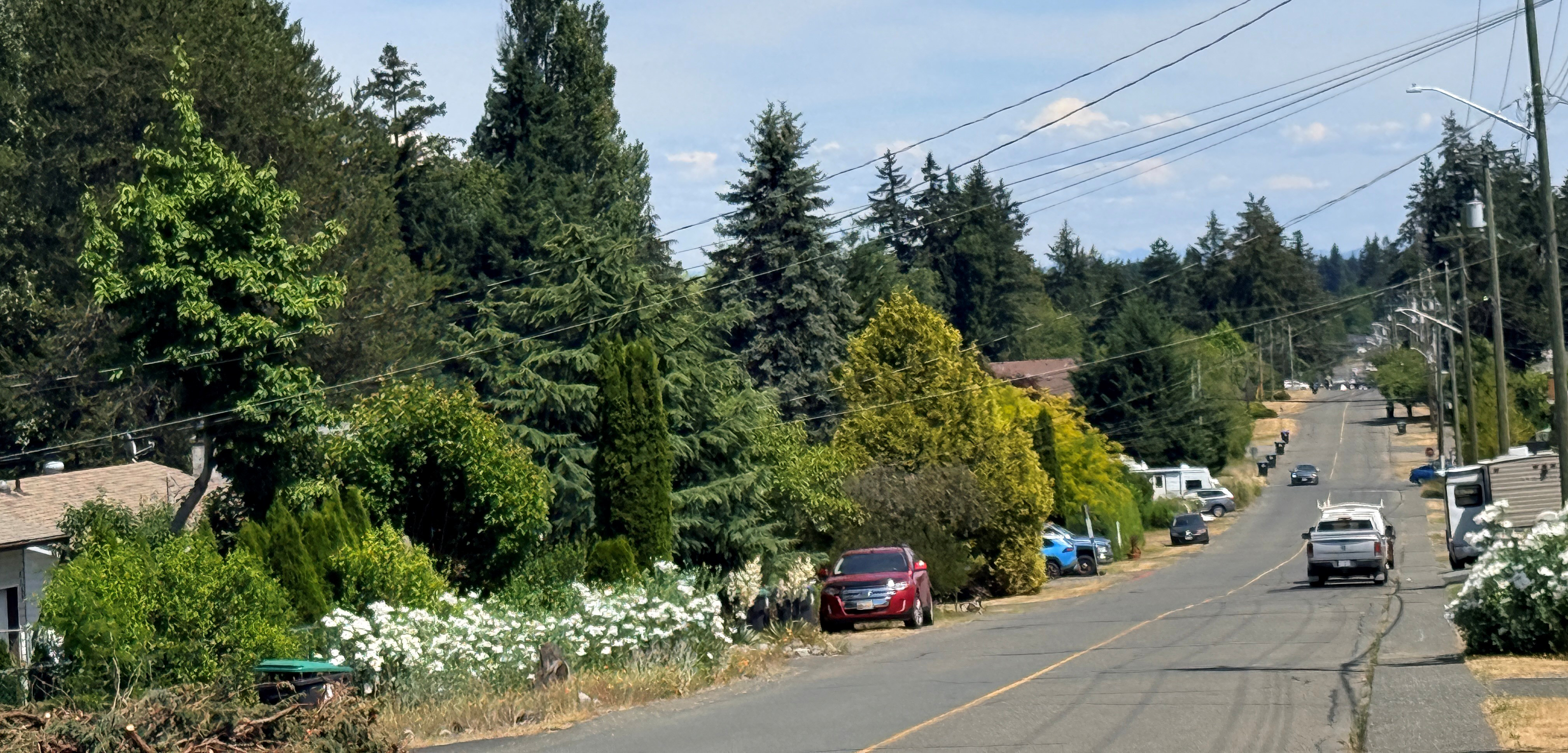 Robb Avenue Upgrade Project