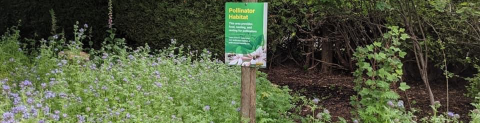 Pollinator bed