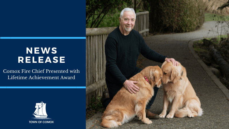 White-haired man in black clothes with two yellow dogs