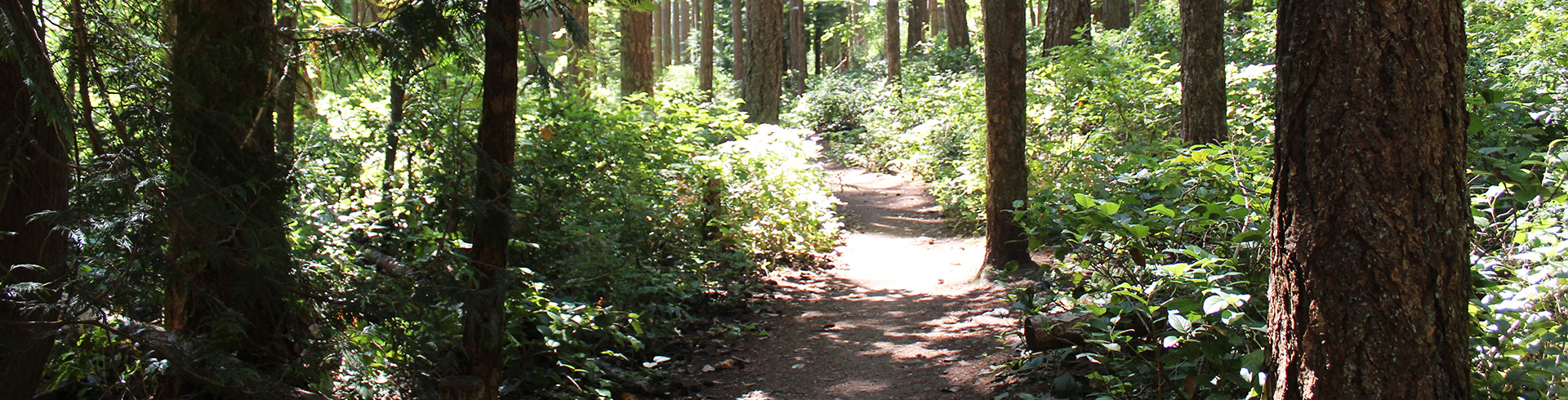 North East Comox Woods 