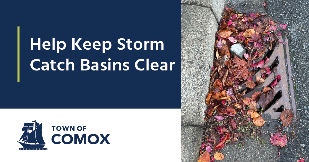 Help Keep Storm Catch Basins Clear of Leaves