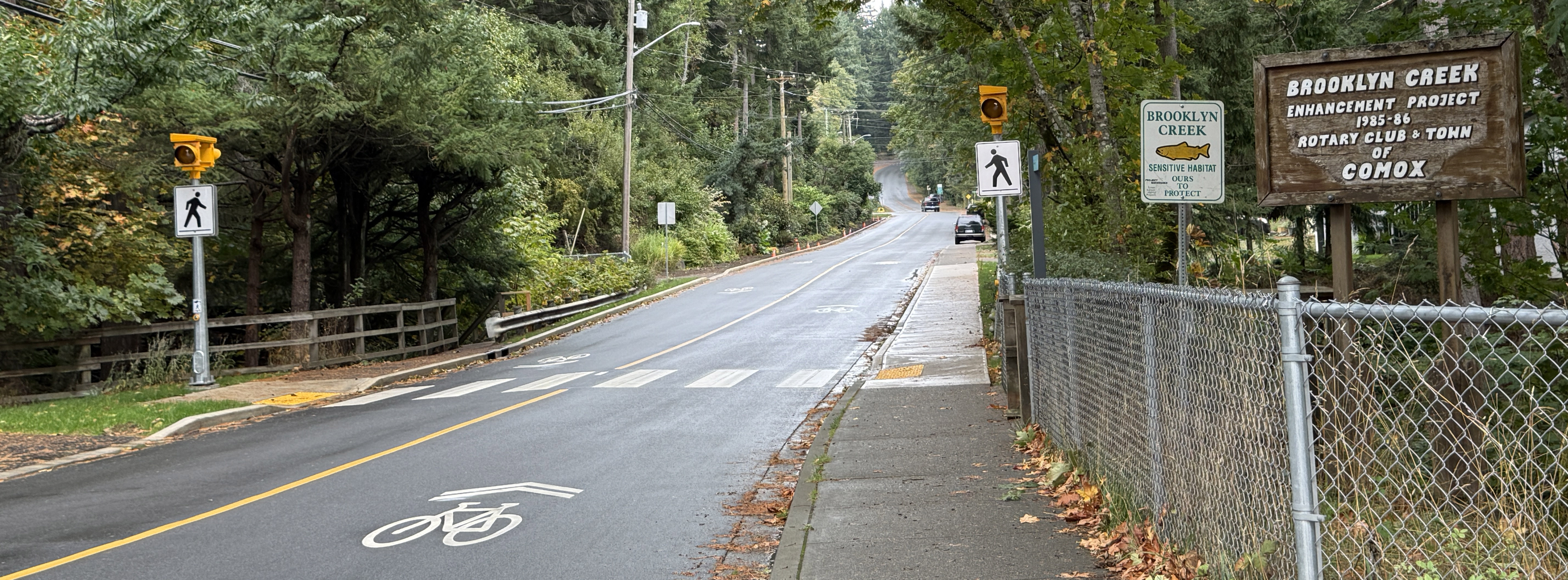 Brooklyn Creek Pedestrian Crosswalk