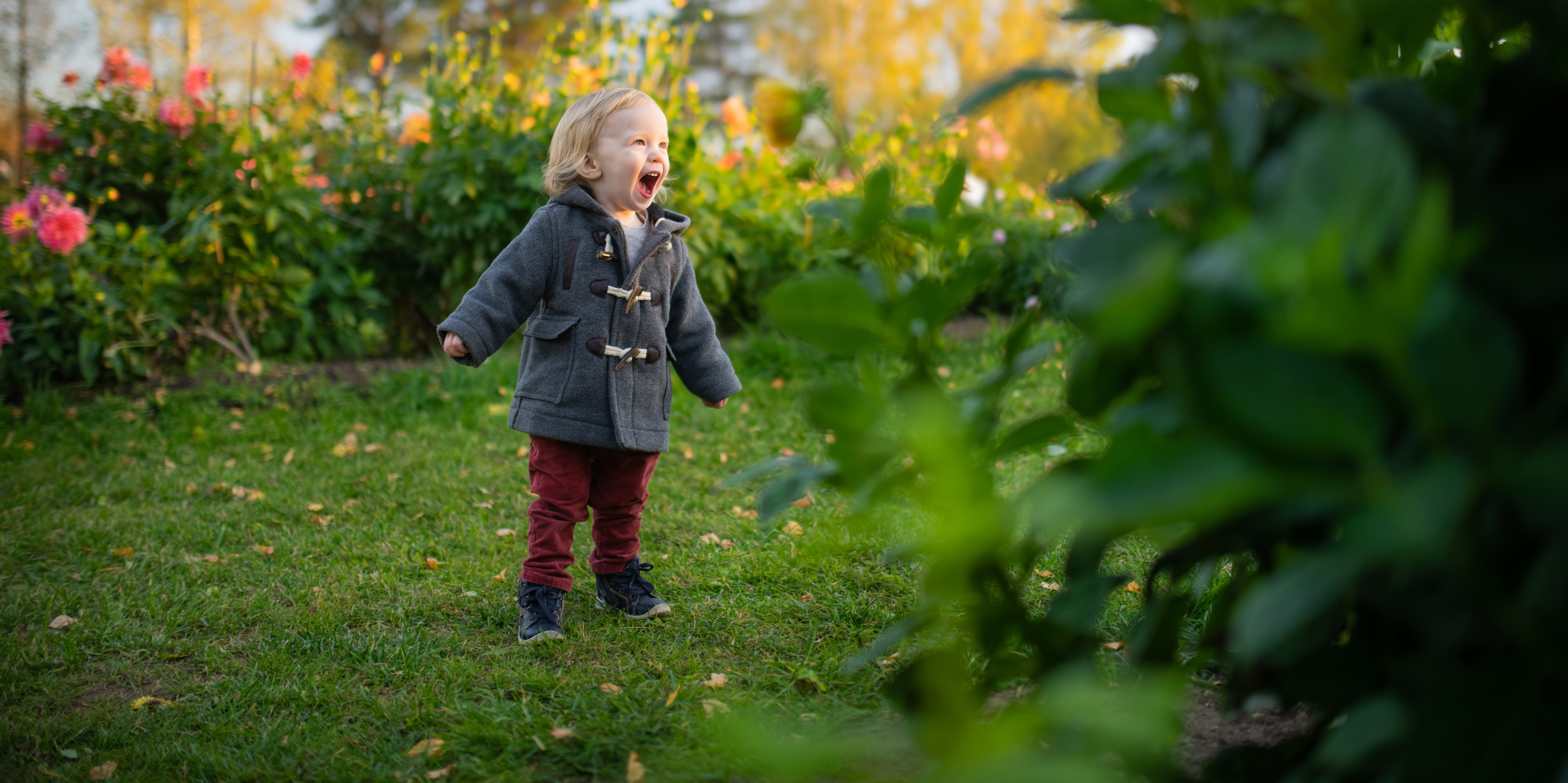 Announcement of new park