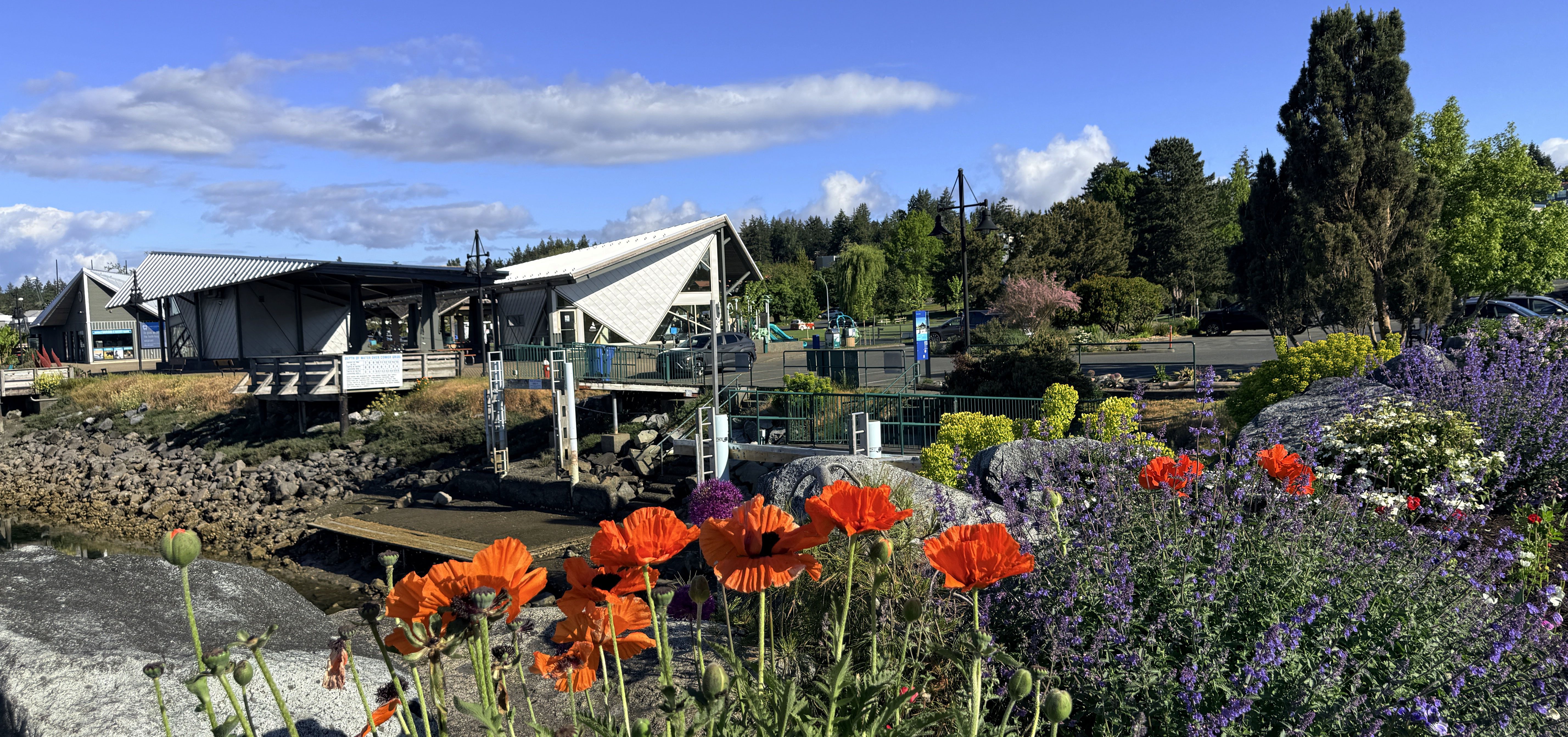 Comox Marina Park in May with flowers