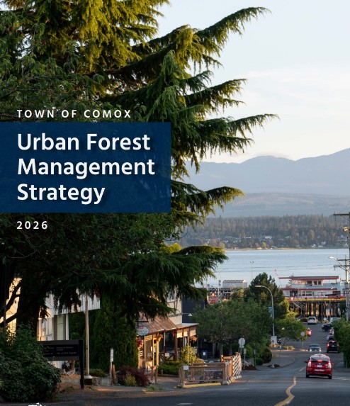 Cover page of the Urban Forest Management Strategy