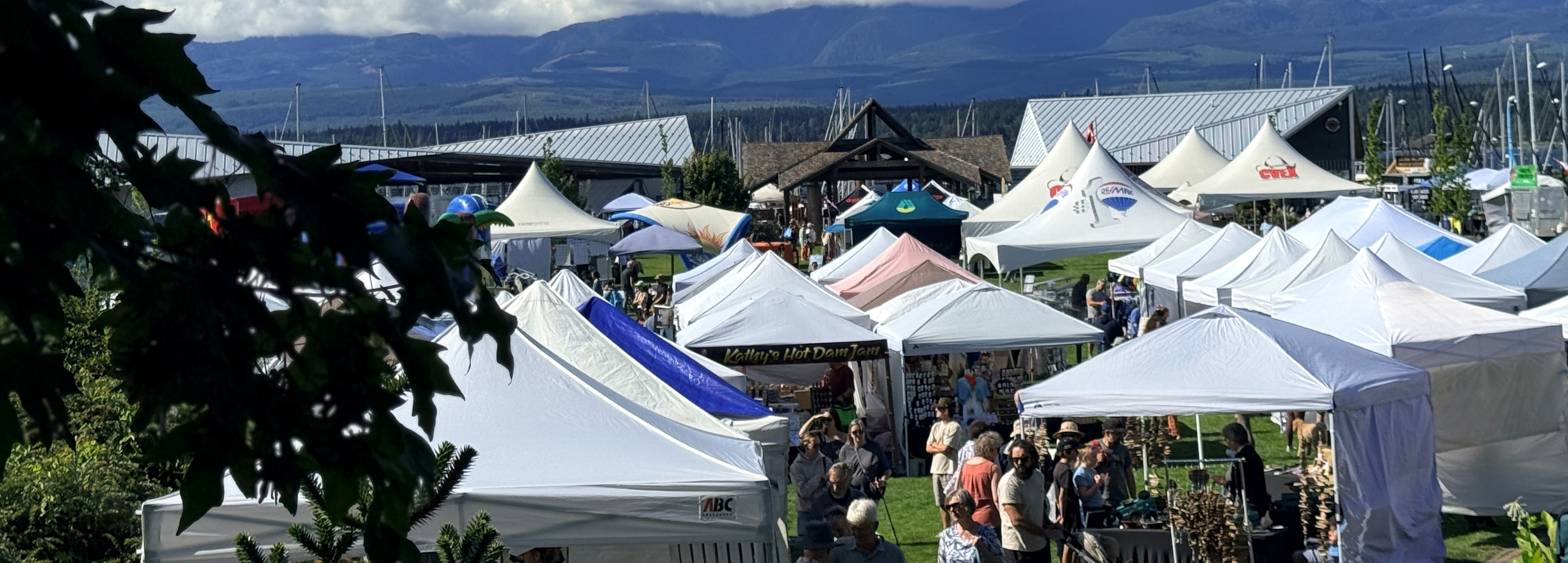 View of Comox Nautical Days