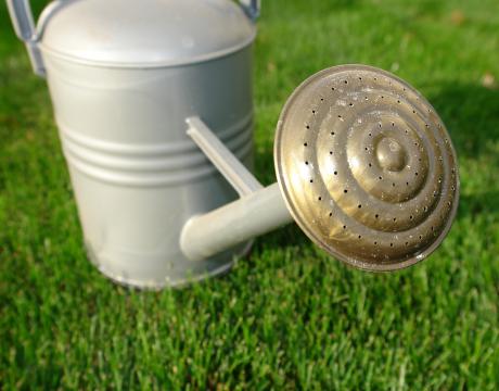 Watering can