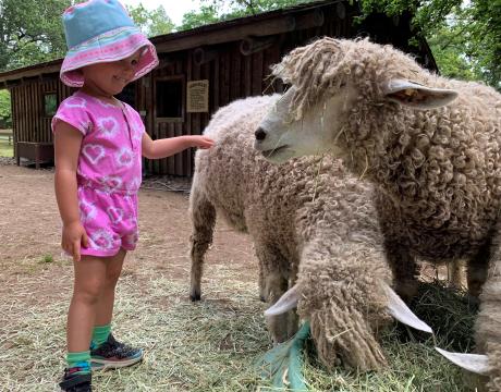 Hands on Farm 