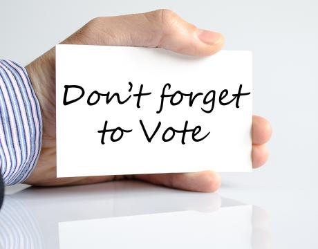 Don't Forget to Vote Image
