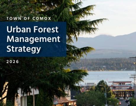 Cover page of the Urban Forest Management Strategy