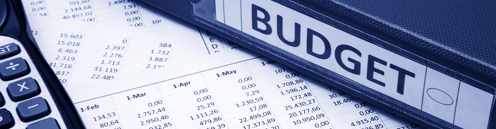 budget banner 