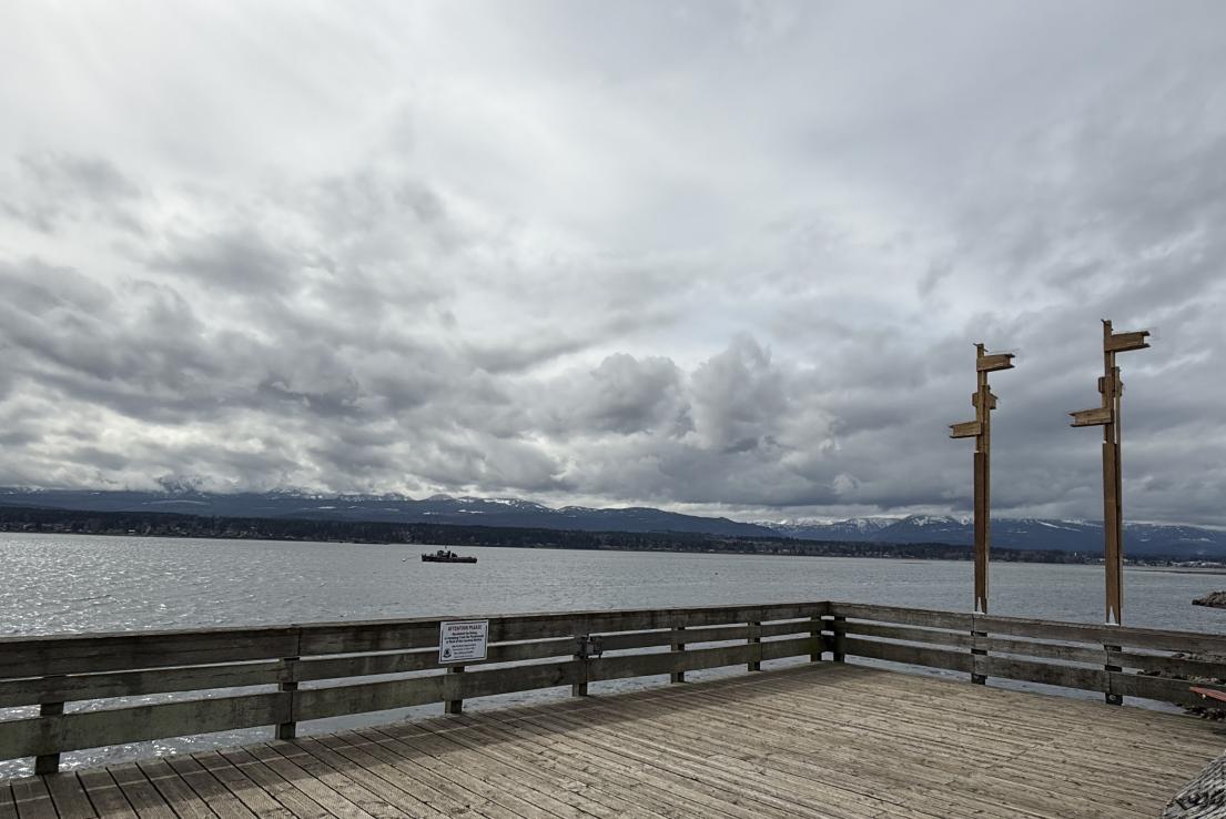 Purple Martin Boxes at the end of Comox Pier