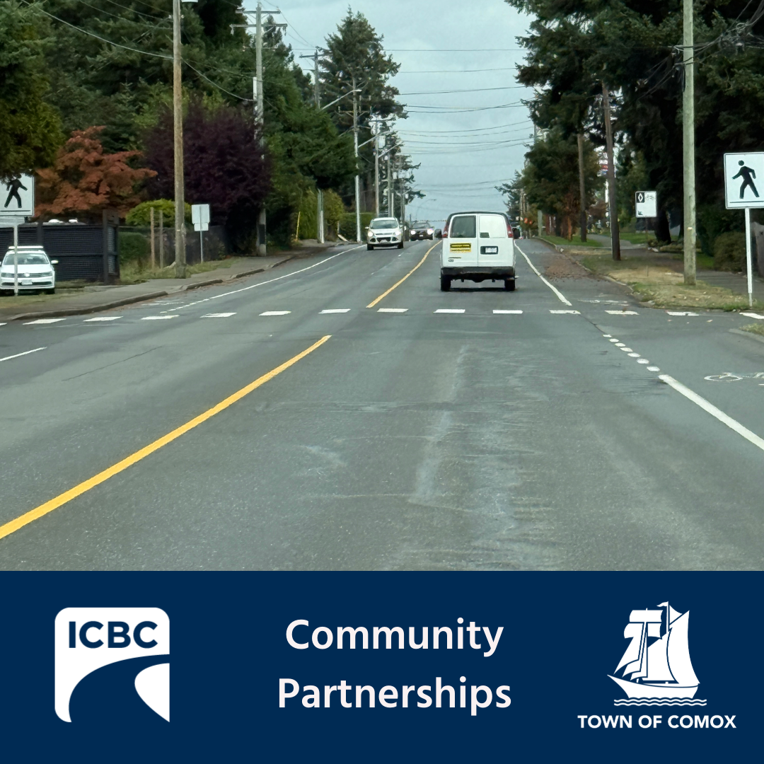 Anderton Road & Bolt Ave pedestrian cross light 