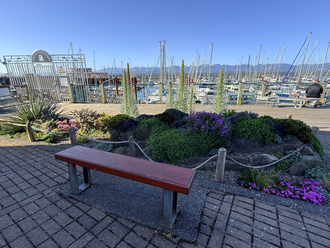 A crevice garden featured at Comox Marina Park