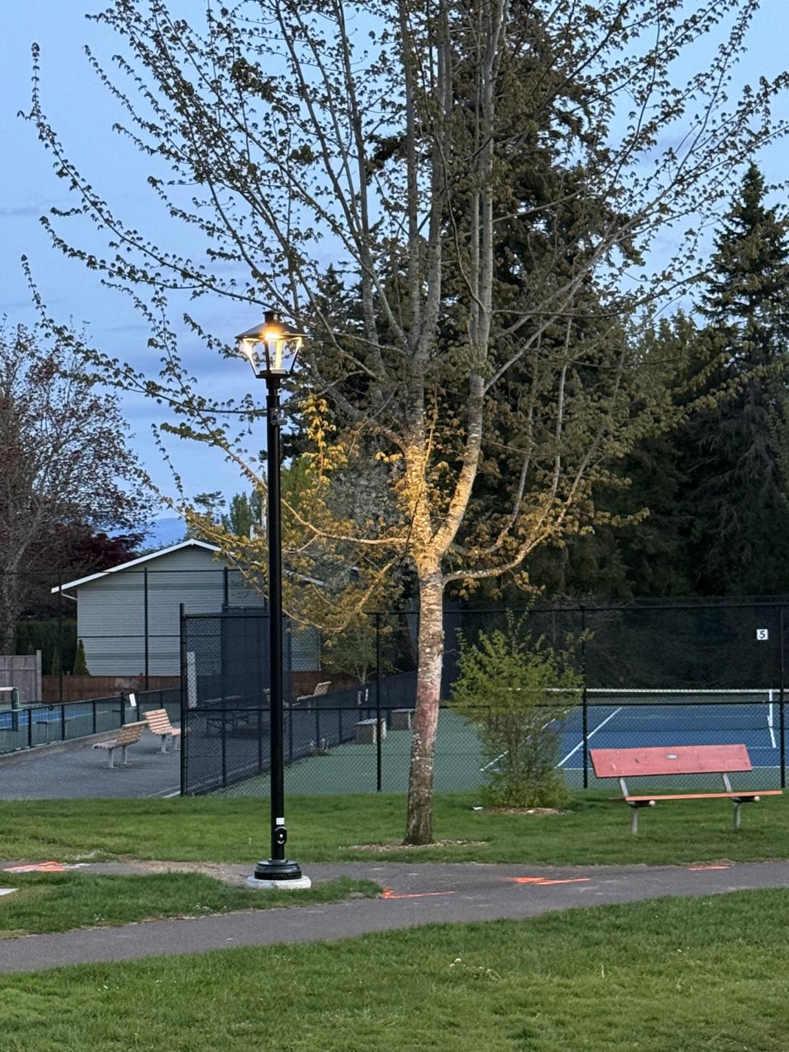 Lights near the tennis courts at Anderton Park