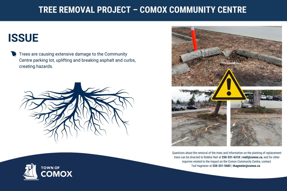 Comox Tree Remove Issue 