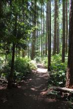 North East Comox Park 