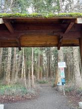 MacDonald Wood Park 