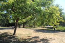 Ascot Park View