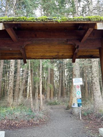 MacDonald Wood Park 
