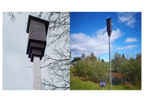 Bat Boxes