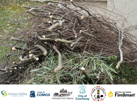 Firesmart event image 