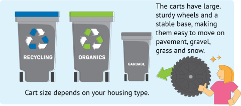 Different size carts