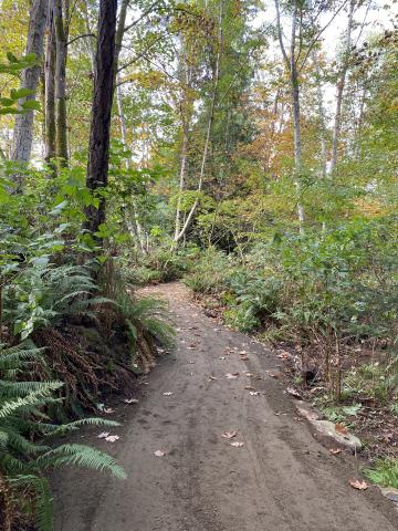 Brooklyn Creek Greenway trail work completed