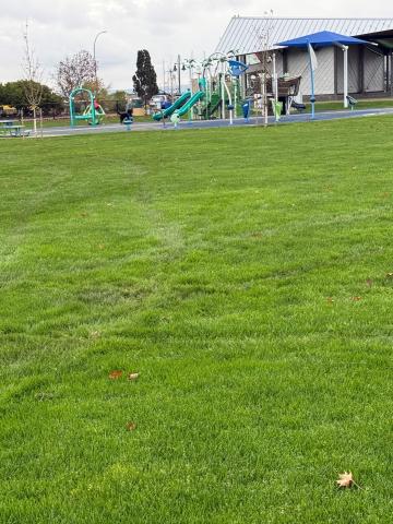 Photo Damage Marina Park 2024