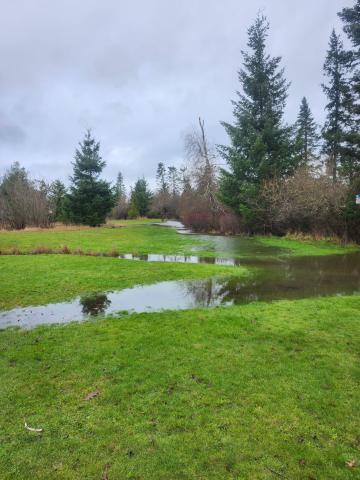 Water levels rising in parks 