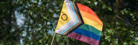 Flag Raising Pride Banner