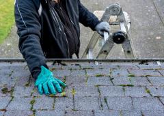 Cleaning a mossy roof